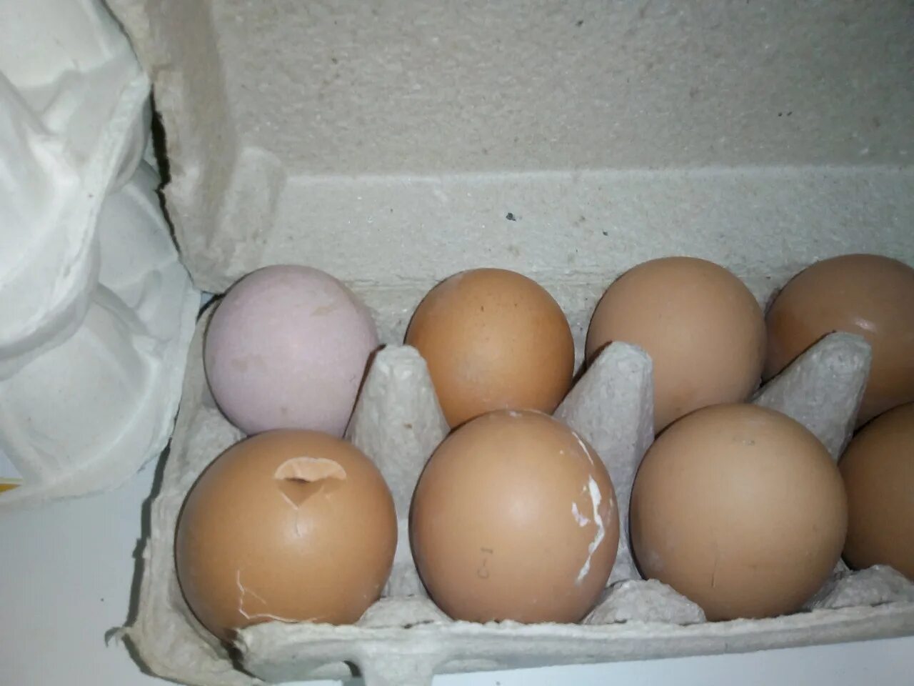 Сколько стоит яйцо сегодня. Десяток яиц. 10 Яиц. Яйца 10 шт. Яйца тендер.