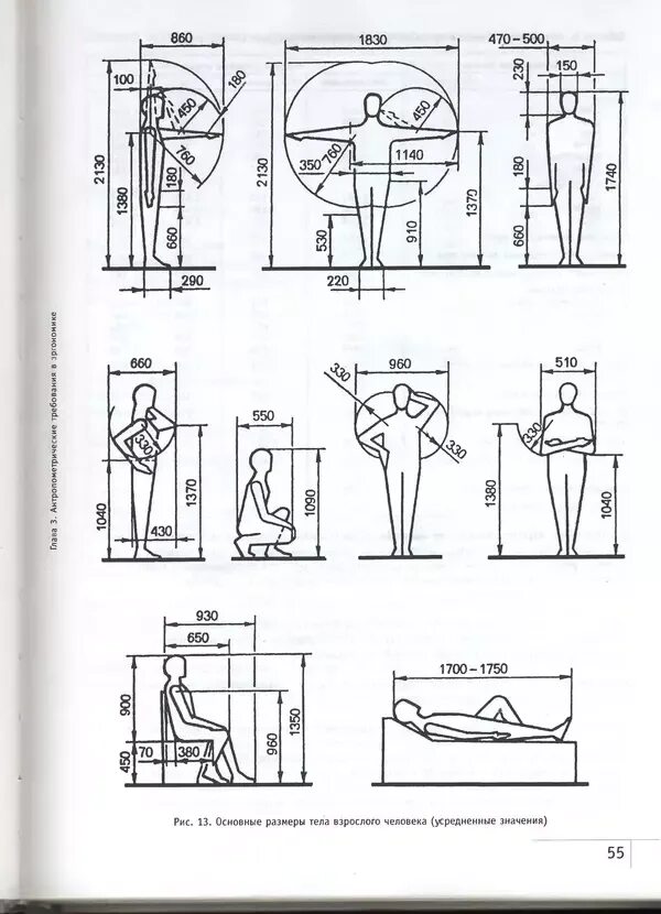 Эргономика и оборудование интерьера в. Эргономика иллюстрации. Книга эргономика в дизайне. Книга эргономика в дизайне. Рунге, ю.
