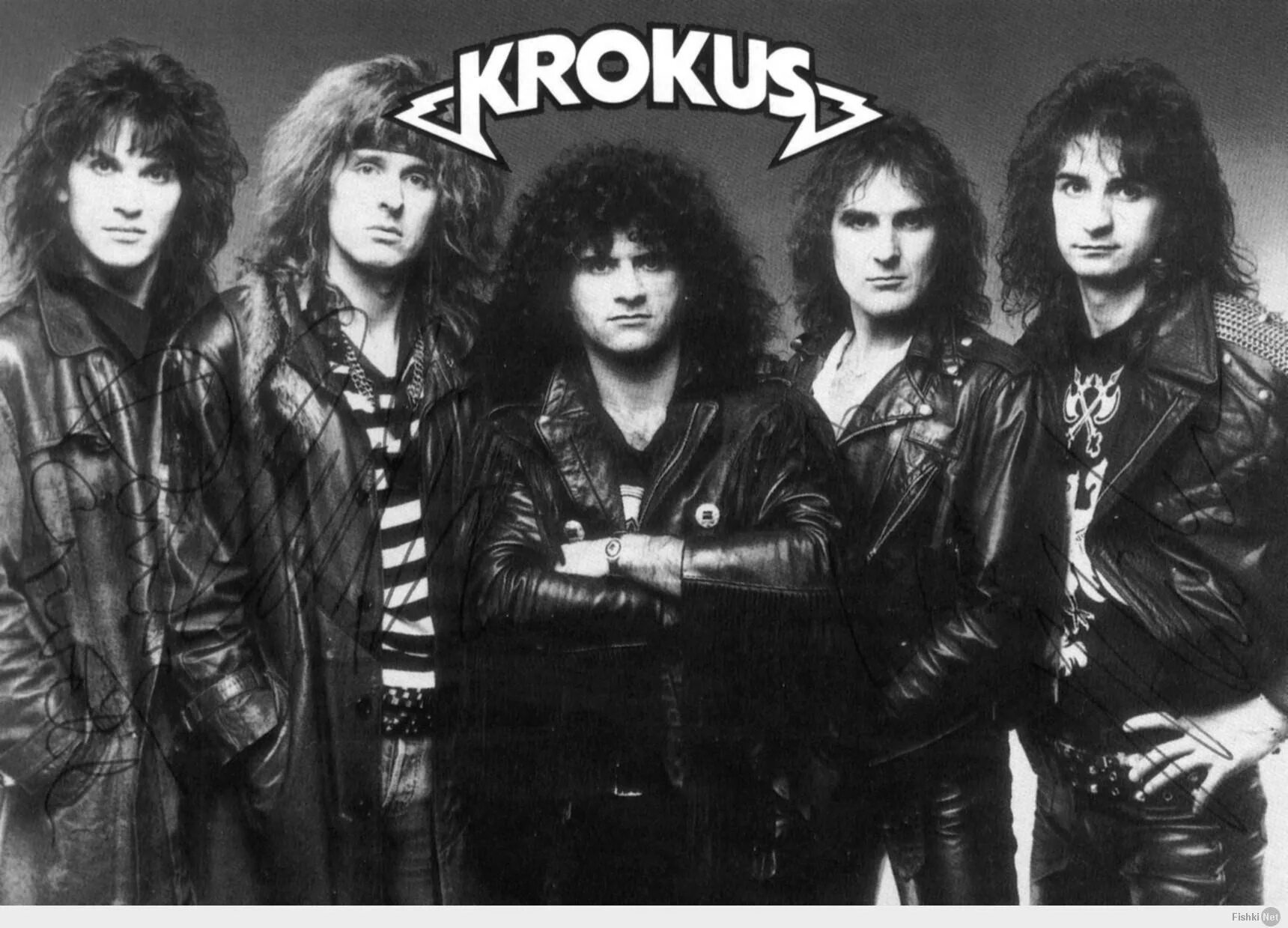 Прог рок лучшее. Рок группа krokus. krokus группа фото. krokus группа обложка. krokus группа 1981.