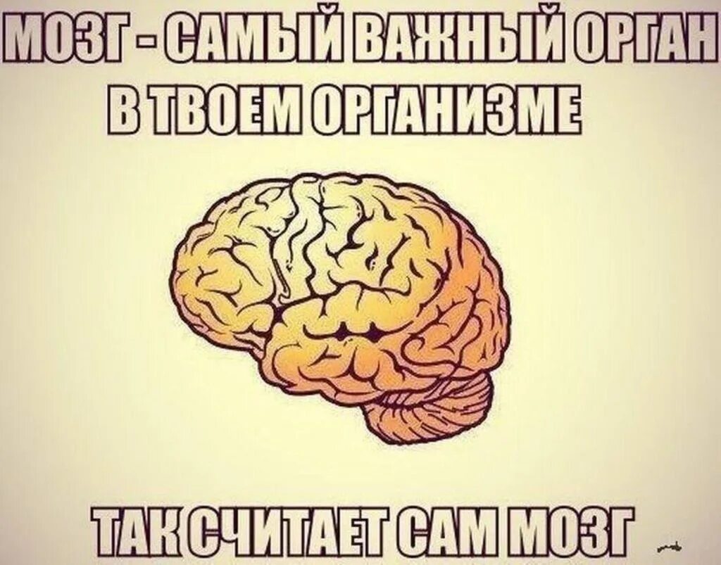 Глупый мозг. Смешные мозги. Мозг прикол. Мозг смешной рисунок.