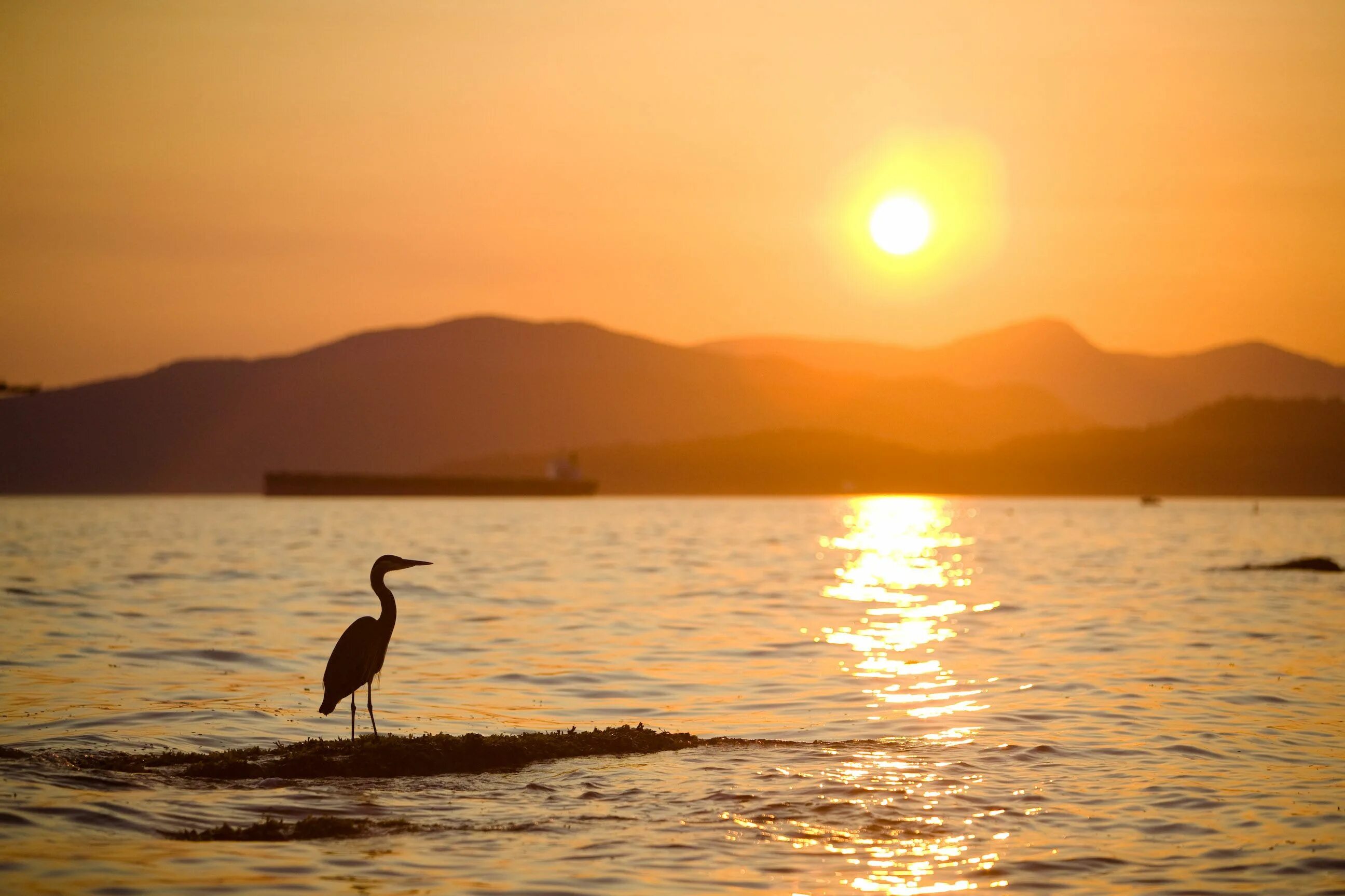 I phone you in the evening. Aenami алена величко. Good evening рисунок. I phone you in the evening. Tangerine фильм 2022.