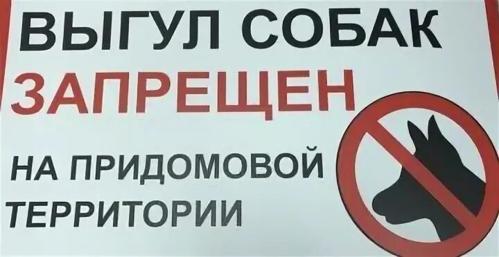 Собаки на придомовой территории