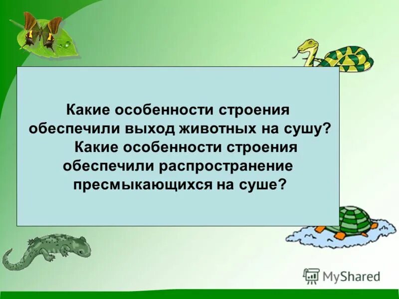 какие особенности строения обеспечили преимущества. какие особенности строения обеспечивают на суше. таблица признаки голосеменные покрытосеменные. какие особенности строения обеспечили преимущества. особенности строения пресмыкающиеся распространение на суше.