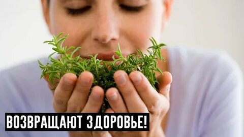 Медицина природой