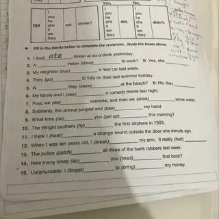 Complete the sentences using the words above