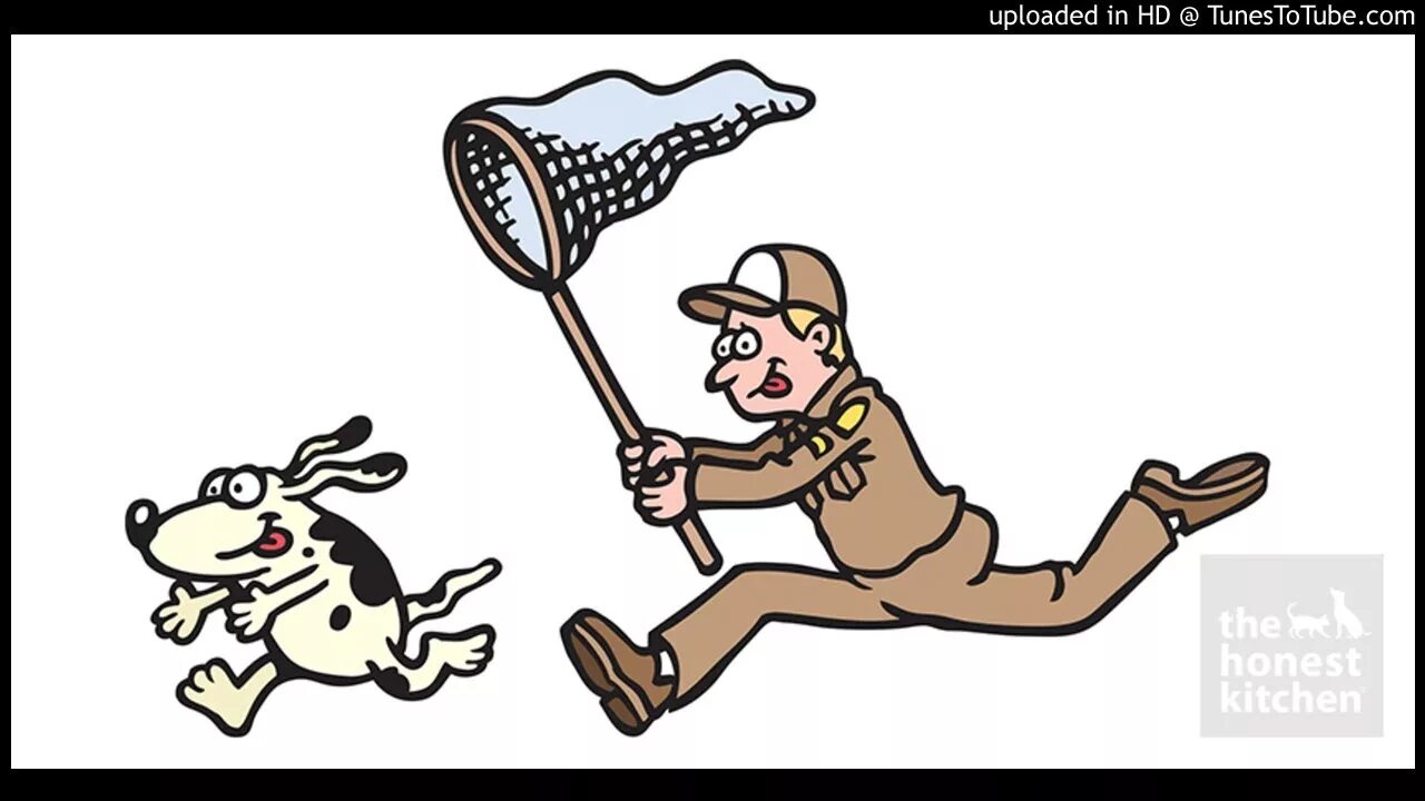 Sam is the kind dog исправь ошибки. Dog catcher. city dog catcher. dog catcher for lifting. dog catcher для прр.