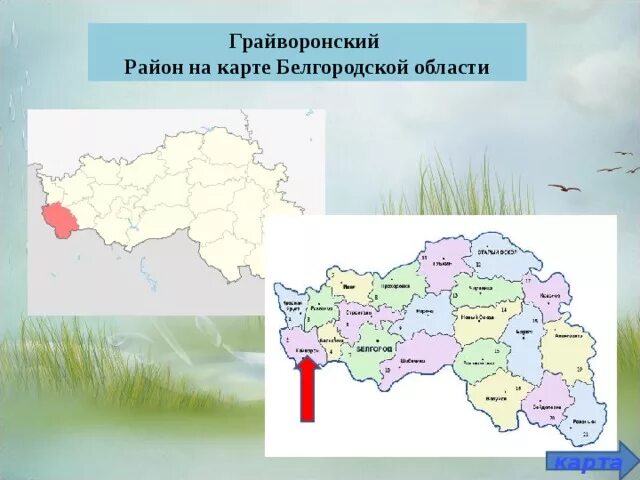 Грайворонский район Белгородской области на карте. Карта Грайворонского района Белгородской. Грайворон Белгородская область на карте области. Грайворон район Белгородская область карта.