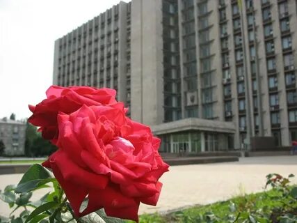 Город роз