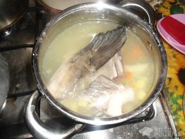 Уха из сазана голова и хвост. Уха из сазана рецепт. Уха с кетой. Уха удалась. Уха из сазана.