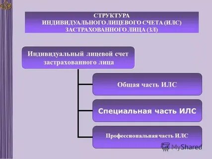 Содержание индивидуального лицевого счета застрахованного лица