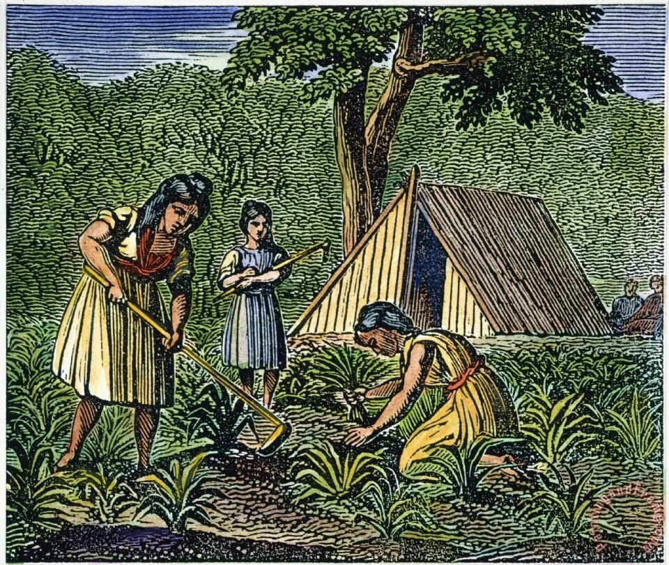 First farming