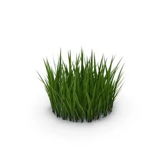 Simple grass