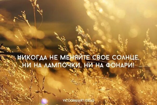 Телескоп gregor снимки солнца. Высказывания про лучи солнца. Магнитное поле солнца. Активность солнца. Не меняйте свое солнце.