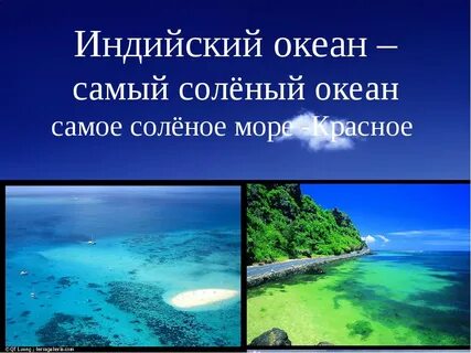 Какой самый теплый океан в мире