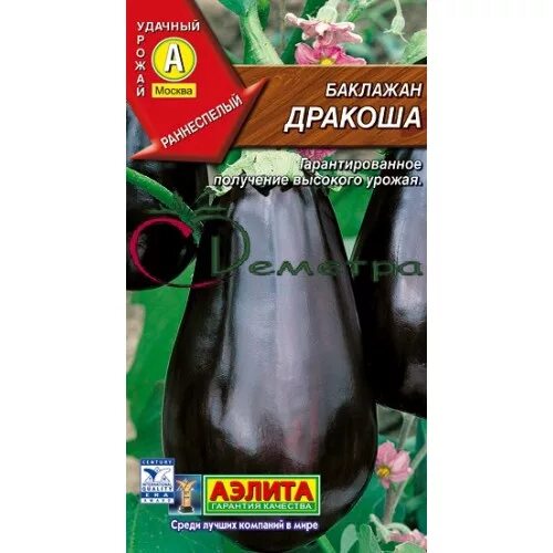 баклажан дракоша