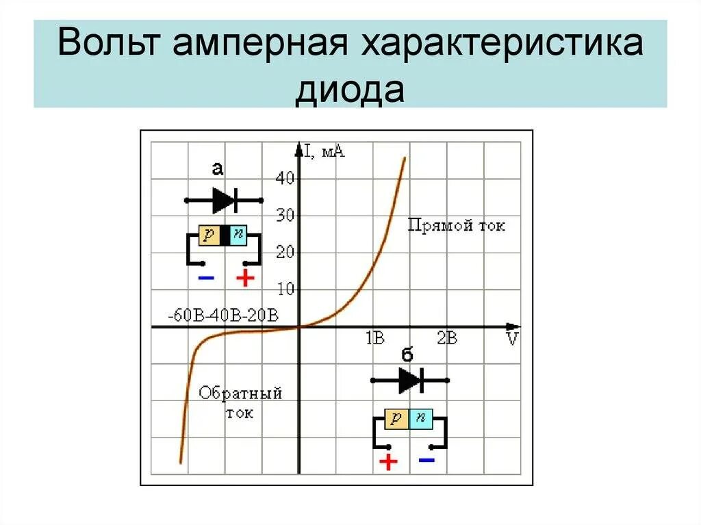 Ветви вах