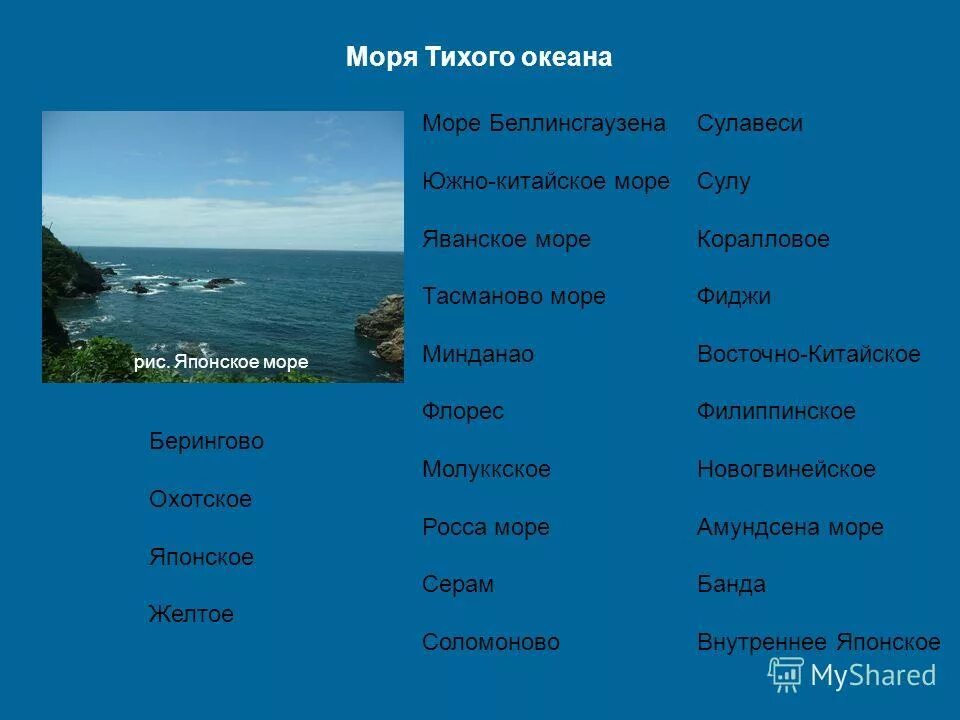 Океан можно отнести к. Моря и океаны список. Моря Тихого океана. Какие моря в тихом океане. Перечислите моря Тихого океана.