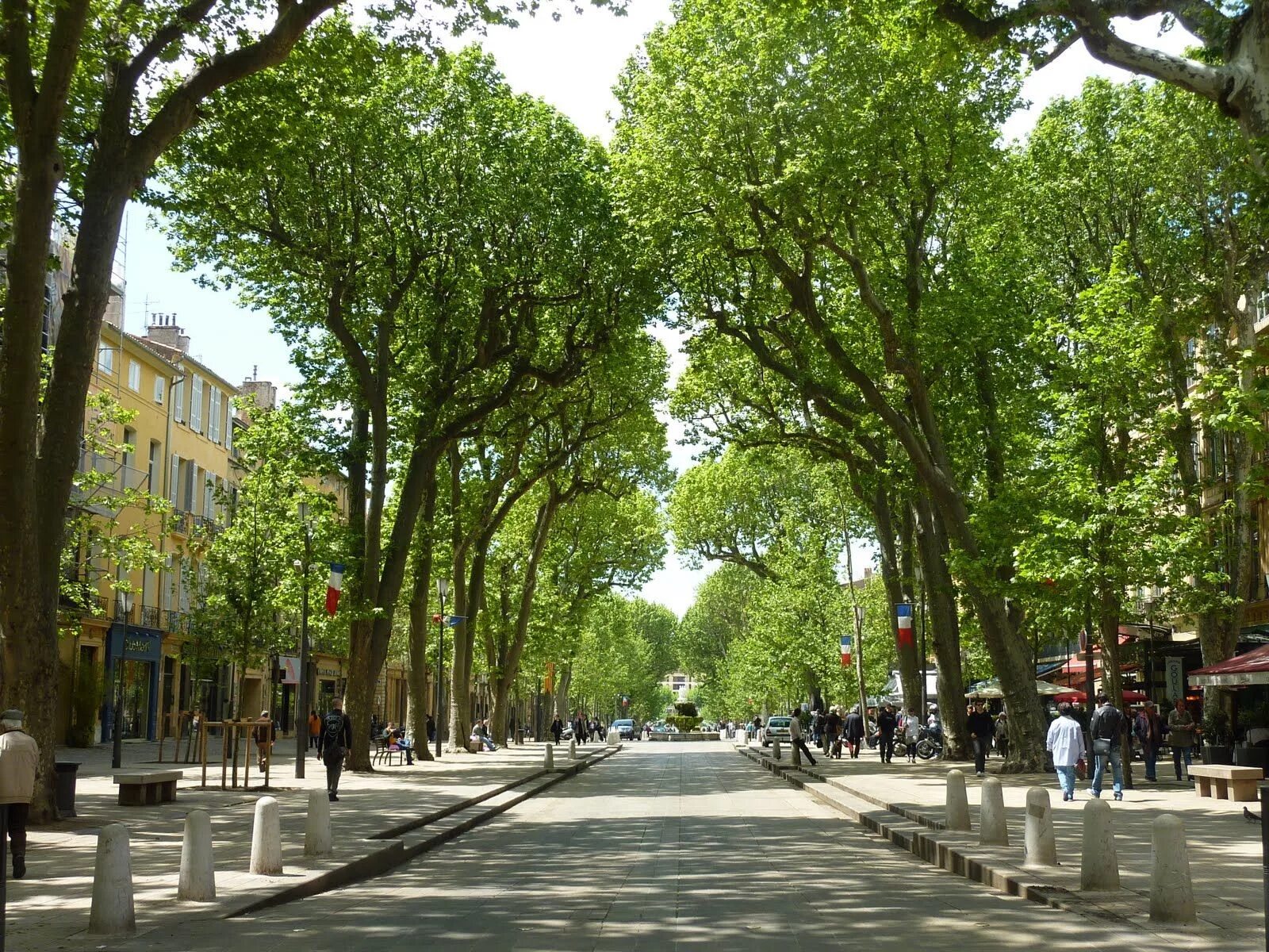 Вид городских деревьев. Кур Мирабо улица. Двор Мирабо Франция. Деревья в городе. Улица с деревьями.