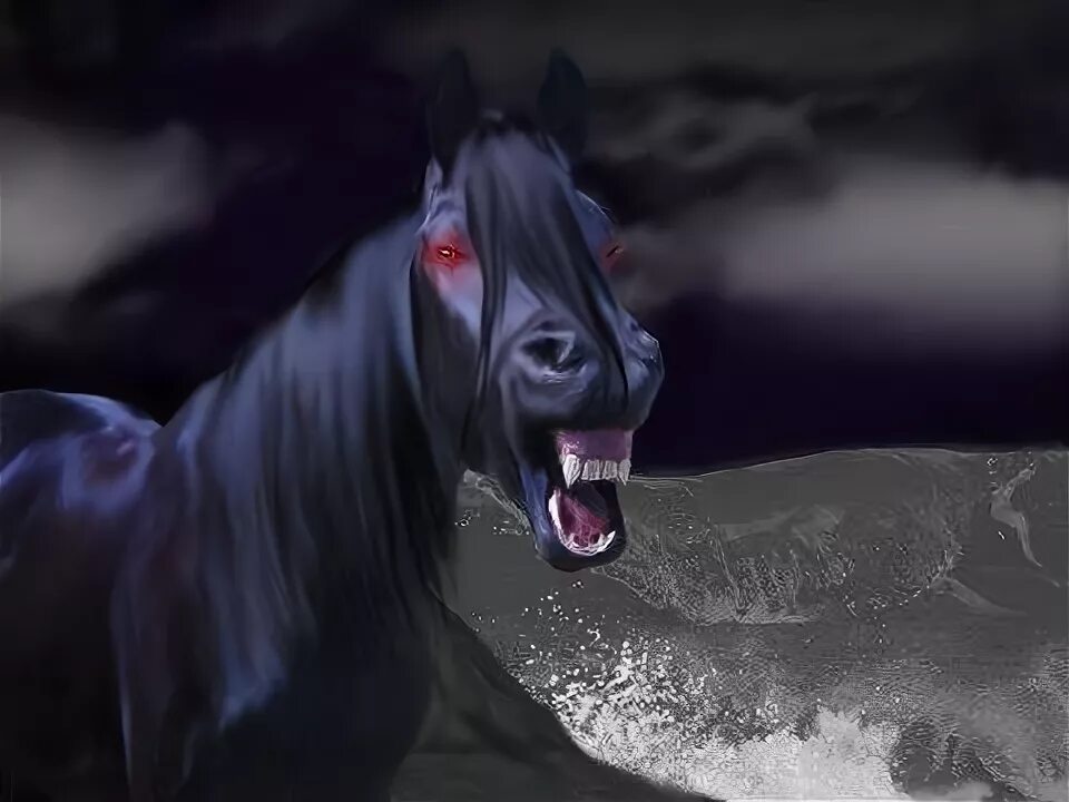 by Alla-equi on DeviantArt Horses, Beautiful horses photography, Pretty horses