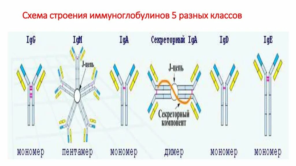 Основные части клетки 5 класс биология. Номенклатура металлических порошков для аддитивных технологий. Структуры 5 д. Цеолит zsm-5 формула. Штайншлифт беговых лыж 101 структура.