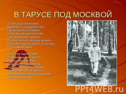 Песня рощи березовой стать