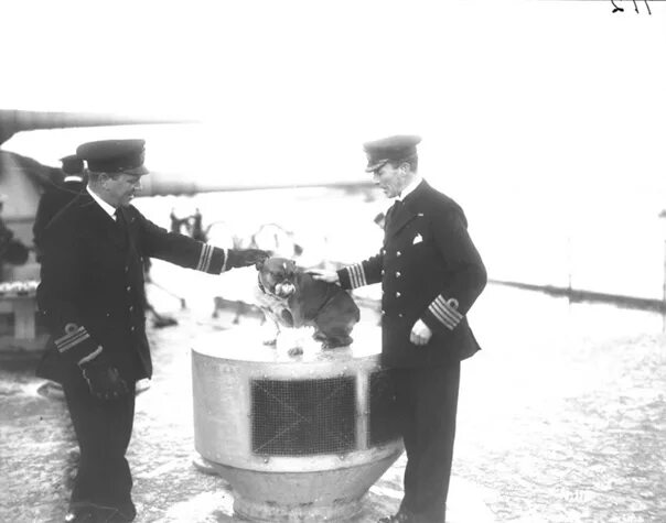 Командующий шеер. Командир линкора. Тайна гибели линкора новороссийск. Новороссийск капитан 1 ранга. Nevada (bb-36), линейный корабль.