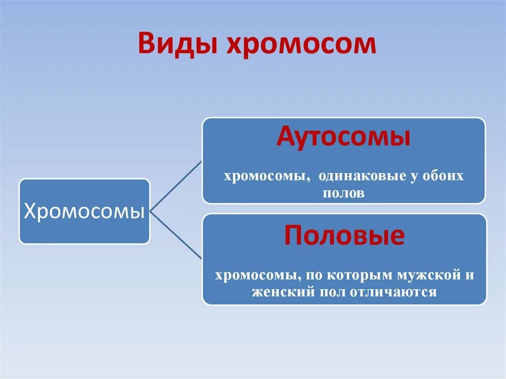 Все хромосомы кроме половых. Аутосомы и половые хромосомы. Виды хромосом аутосомы. Что такое аутосомы половые хромосомы неполовые хромосомы. Генетика пола презентация.