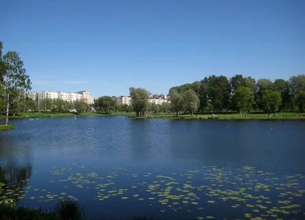 Водоемы спб