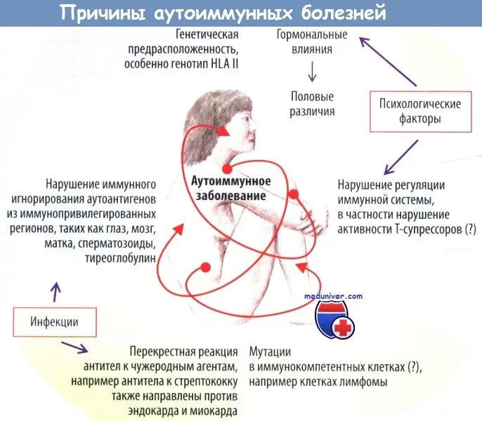 Причины развития аутоиммунных процессов. Аутоиммунные заболевания. Аутоиммунные заболевания причины возникновения. Причины развития аутоиммунных заболеваний. Сама причина болезни