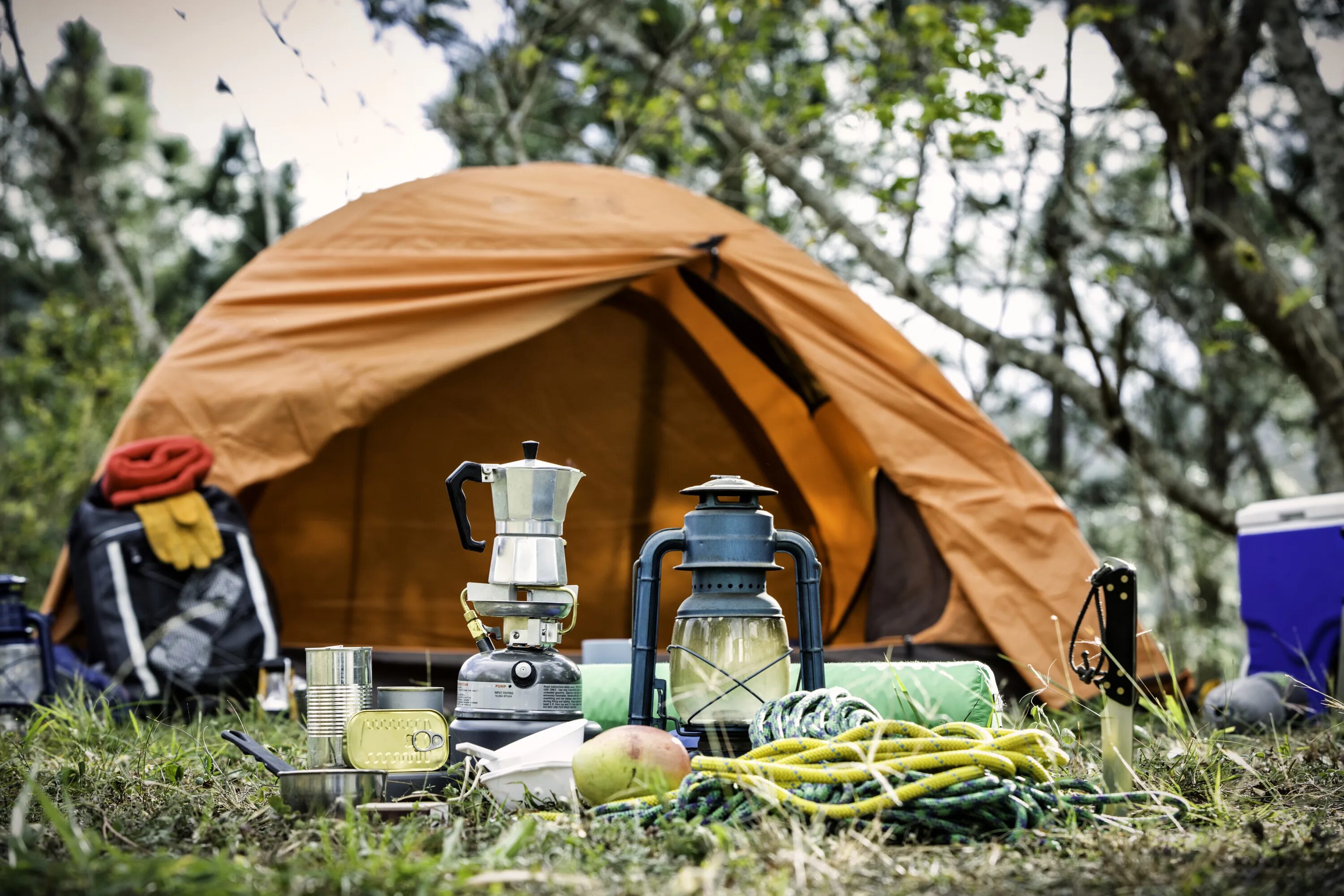 Туристическая палатка на природе. Походный туризм. Поход с палатками. Туризм с палатками. Find a camp
