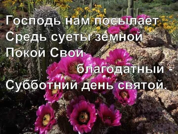 Суббота божий день. С субботой христианские открытки. благословенная суббота. с днем субботним христианские. благословенного дня субботы.