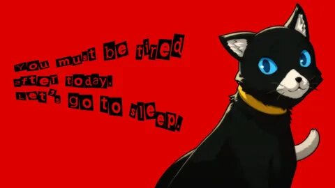 Im not a human
