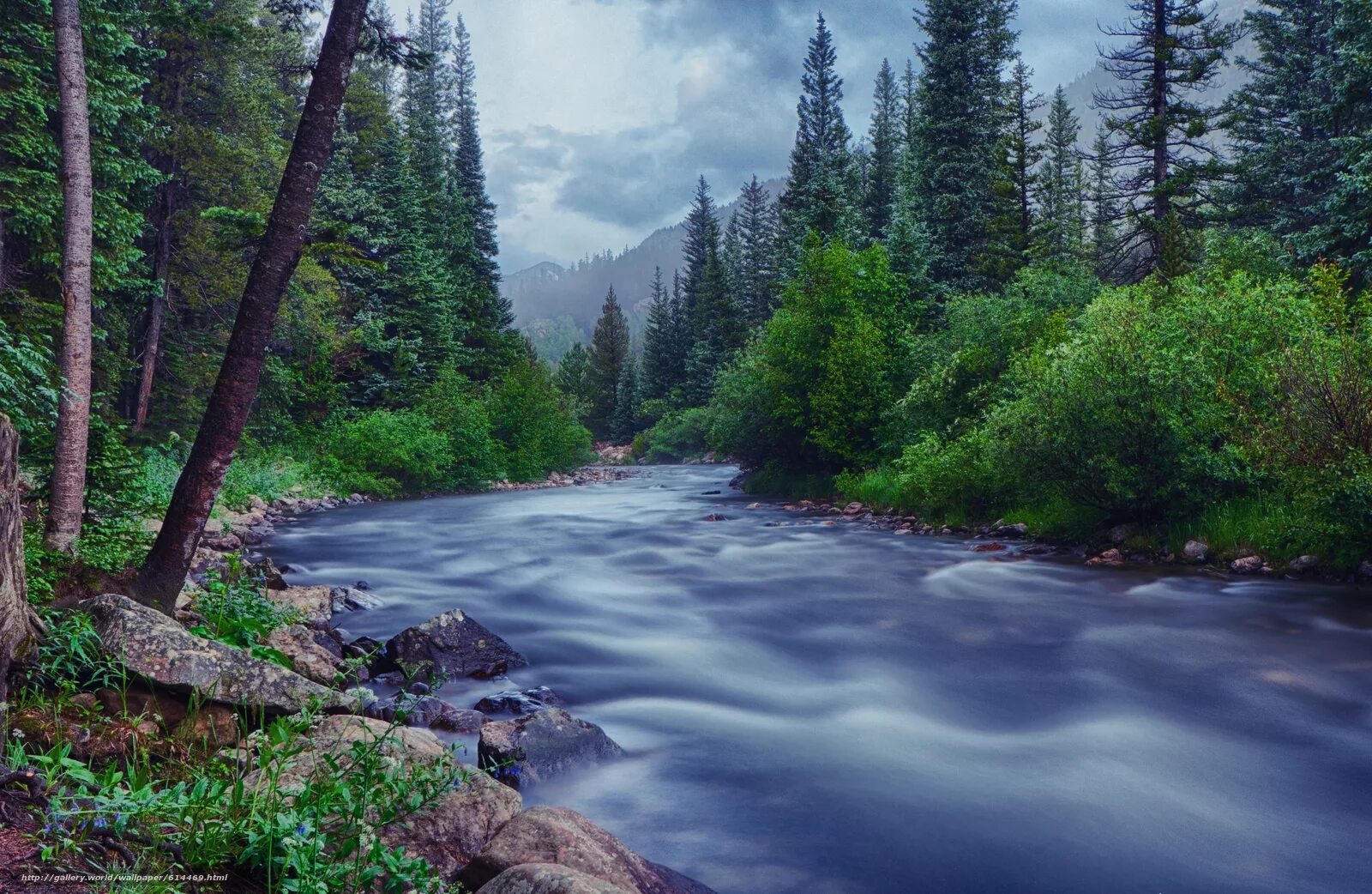 блэк-ривер (ямайка). река гайя. река миньо ямайка. исток миссури. река хунза пакистан.