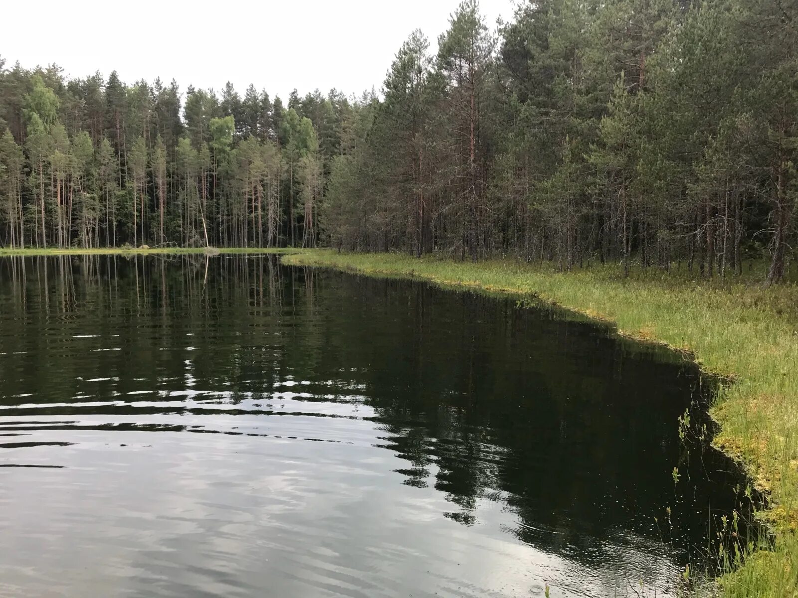 Ведьмино озеро. Озеро ведьм Самара. Ведьмино озеро Румыния. Ведьмино озеро Шарыповский. Ведьминское озеро Ивановская область.