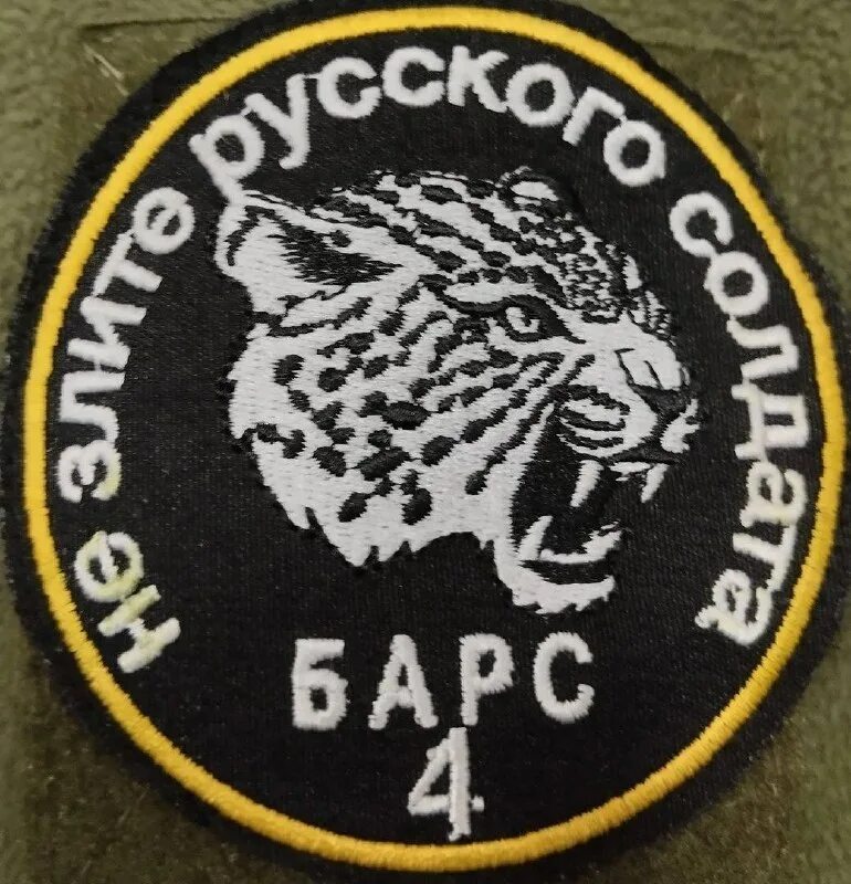 добровольческий отряд барс 2023. барс добровольцы. добровольцы сво барс. барс добровольцы. барс 13 добровольцы.