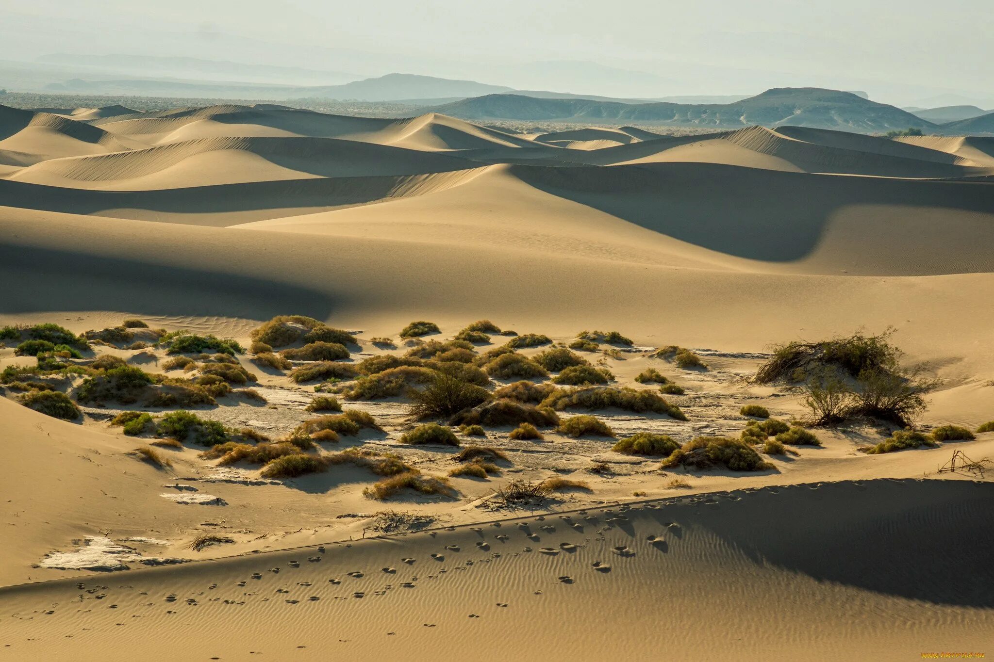 Бархан Сарыкум. Песчаные дюны рын-Песков. Рельеф пустыни и полупустыни. Пустыня сахара Барханы.