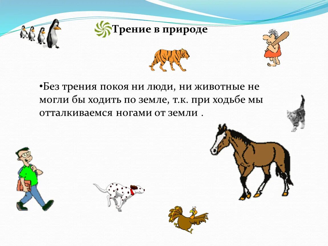 Проект трение в жизни животных Урок 34 Сила трения