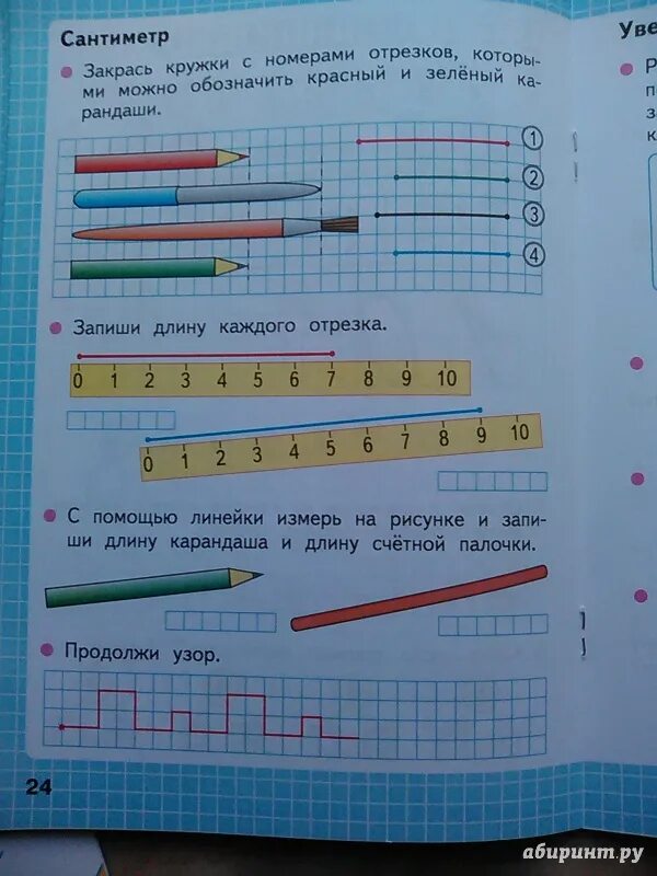 Закрась кружки с номерами отрезков которыми. Закрась кружки с номерами отрезков. Запиши длину каждого отрезка. Математика 1 класс рабочая тетрадь стр 24. Сколько сантиметров тетрадка