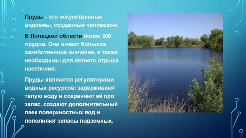 Водоёмы Липецкой области 4 класс. Водоемы нашей местности. Водные объекты Липецкой области. Водоемы Липецкой области презентация. Водные богатства рязанского края