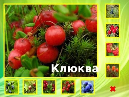 Что за ягода красненькая матрешка беленькое сердечко