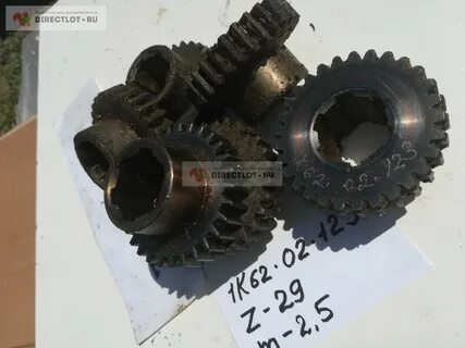 Z 29 31