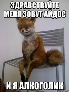Газы я не алкаш не пьяница