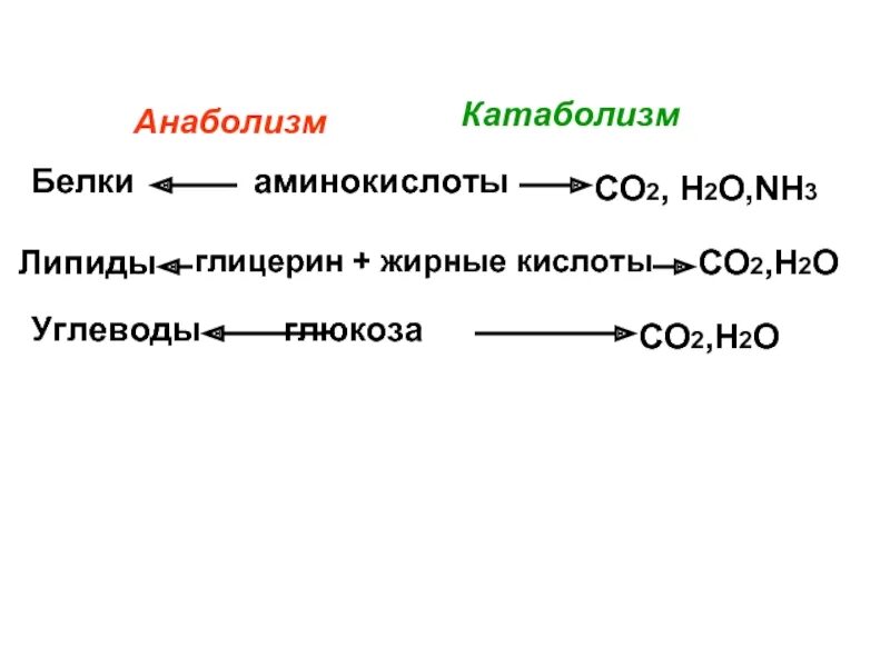 Атф анаболизма. Анаболизм это биохимия. Пример анаболизма биохимия. Катаболизм и анаболизм схема. Анаболизм жирных кислот.