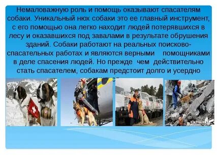 К профессионально важным качествам спасателя относятся