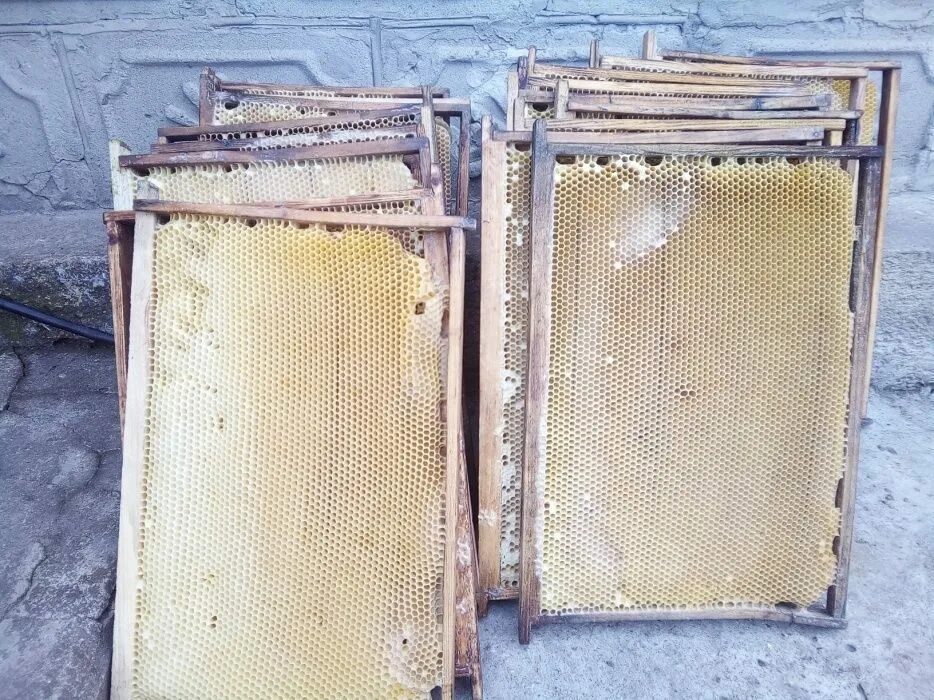 Купить пчелиные рамки. Рамки с сушью (на 145) для пчёл. Рамки сушь для пчел. Сушь Дадан. Рамка суши для пчел.