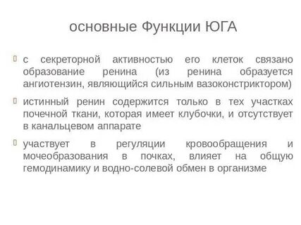 Юга почек