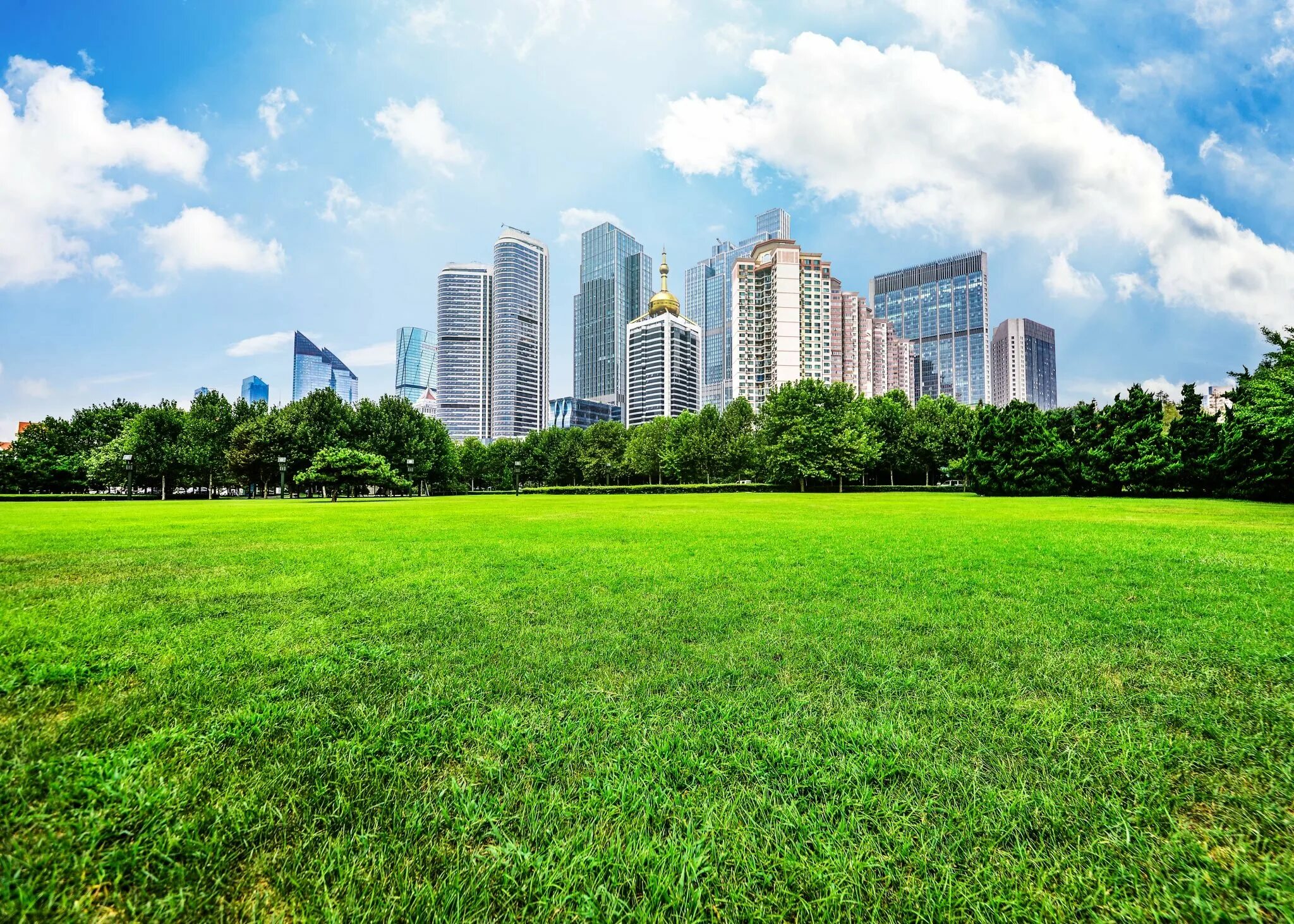 Green City зеленый город. Панорама зеленого города. Ujhjğ ptktydsq. Панорама зеленого города день. City field