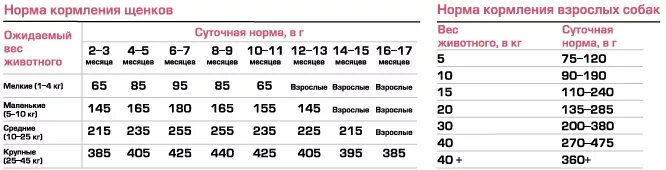 Сколько грамм сухого корма давать щенку. Норма сухого корма для щенков мелких пород таблица. Норма сухого корма для щенков крупных пород 3 месяца. Таблица нормы кормления щенков мелких пород. Норма кормления щенка мелкой породы.