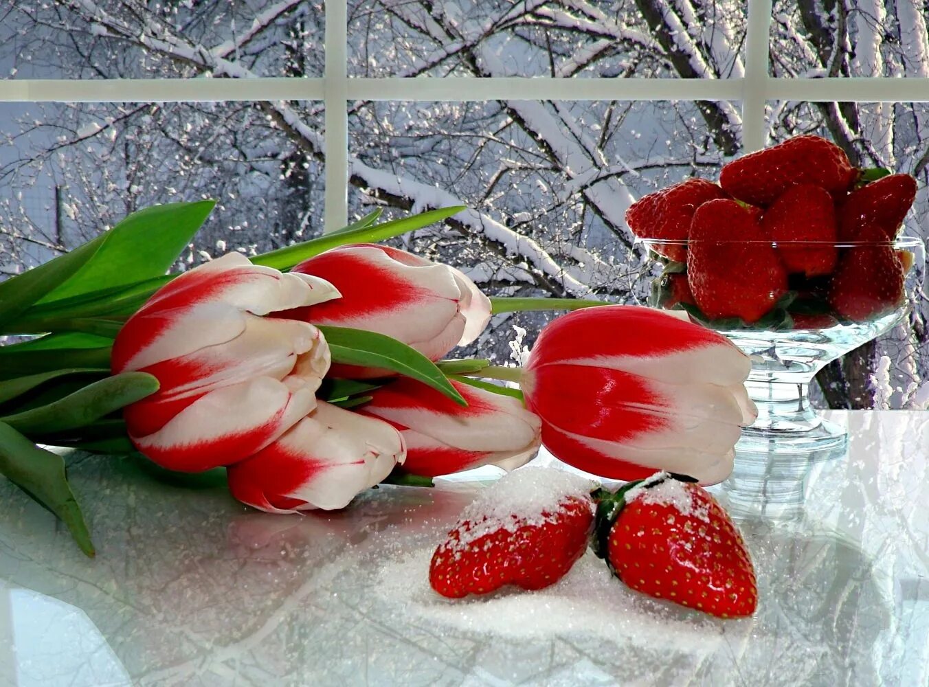 Доброе утро снежный март. Зимние цветы. Тюльпаны в снегу. Красивые весенние тюльпаны. Открытки тюльпаны на снегу.
