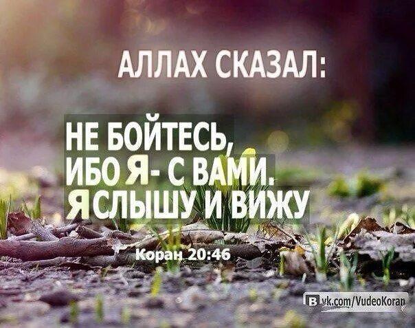 Никак не страшна. Всевышний сказал в Коране. Аллах сказал не бойтесь. Аллах сказал не бойтесь ибо я с вами я. Цитаты из Корана о жизни.